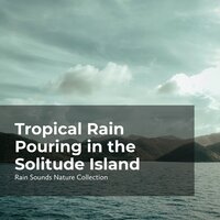 Misty Pouring Rain - ASMR Rain Sounds & Rain Sounds Nature Collection & Sleepy Rain