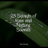 Waves, Shore, Rugged Water - Crying & Colic Relief & Rain Hard & Massage Therapy Music