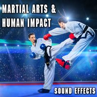 Three Deep Karate Kicks - The Hollywood Edge Sound Effects Library