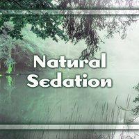 Therapy Music - Relaxing Sounds of Nature