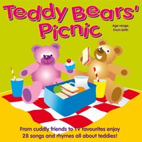 Busy Teddy - Kidzone