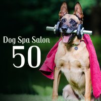 Beautiful Appearance - Relaxing Spa Music Zone & Pet Care Club