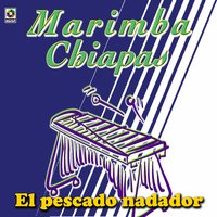 Y - Marimba Chiapas