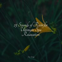 Droplets - Soothing White Noise For Infant Sleeping And Massage & Alpha Waves & Lush Rain Creators