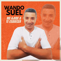 Me Ajude a Te Esquecer - Wando Suel