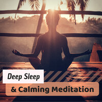 Flying High - Calming Music Academy