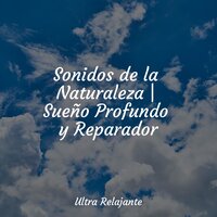 En el Viento - Música para Massagem Especialistas & Meditação Maestro & Masaje Relajante Masters