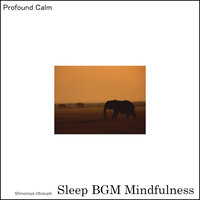 Peaceful Pursuit - Sleep BGM Mindfulness