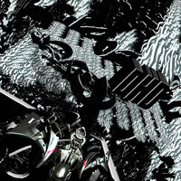 Normal - Dhd
