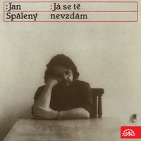 Sníh - Jan Spálený
