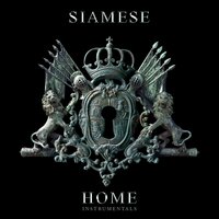 Jóga - Siamese