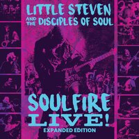 I Am A Patriot - Little Steven & The Disciples Of Soul
