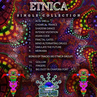 Simulate The Future - Etnica