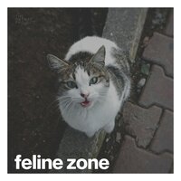 You, in the Quiet Hush - Soothing Cat Music