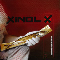 Můj cíl - Xindl X