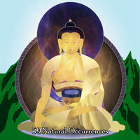 Higher Being - Healing Yoga Meditation Music Consort