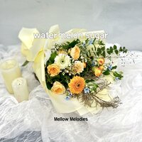 trypophobia - Mellow Melodies