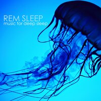 Sleeping Like A Baby - Sleep Music Dream