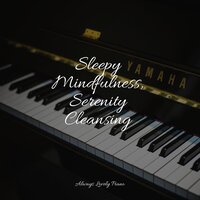 Soothing Meditations - Relaxing Classical Piano Music & Piano Relajante & Massage Music
