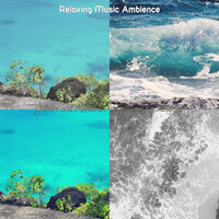 Cultured Easy Listening Music - Vibe for Reducing Stress - Relaxing Music Ambience