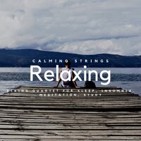 Nightingale - Violin Music & Violins & Calming Strings