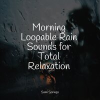 Stream, Small, Birds, Close - Rain Forest FX & Rising Higher Meditation & Meditation Awareness