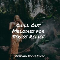 Joining the Peace - The Relaxation Principle & Musica Reiki & Sleep Waves