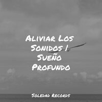 Ejercicios De Respiración - Meditacion & Musica Relajante Piano Master & Academia de Música para Massagem Relaxamento