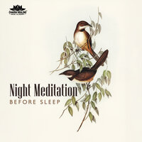 Deep Night Rest - Chakra Healing Music Academy