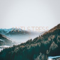 You and I - Relaxing Zen Music Ensemble & Best Relaxation Music & Anti Stress