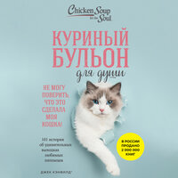 Джек Кэнфилд, Марк Виктор Хансен, Дженнифер Кваша. «Куриный бульон для души. Не могу поверить, что это сделала моя кошка! 101 история об удивительных выходках любимых питомцев». Часть 46 - Алексей Кизуб & Вероника Нефёдова