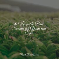 Glass Rains - Nature Sounds XLE Library & Rain Spa & Native American Flute