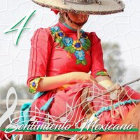 Tiempo Y Destiempo - Chavela Vargas