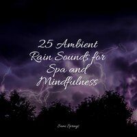 Falling Glass Rains - Relaxamento & Sleep Meditation Dream Catcher & 125 Nature Sounds