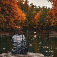 Tranquilidad Dorada - Meditacion & Música ambiental relajante & Academia de Relaxamento e Meditação