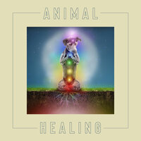 Cure Insomnia - Pet Care Club & Reiki Healing Unit & Pet Music Academy