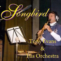 Begin the Beguine - Tony Evans & His Orchestra