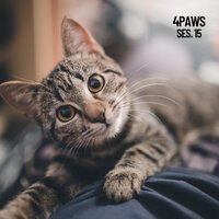 Sleep Tight Pet - Cat Music & Cat Music Experience & Music For Cats