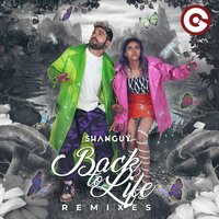 Back to Life - Shanguy & Cyril M