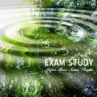 Density of Water (Sleep Sounds) - Exam Study Nature Music Nature Sounds