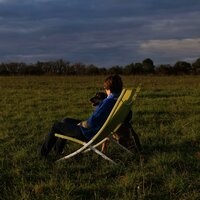 Quiet Harmony Calms Thoughts - Peaceful Harp & Relaxing Time & Forest FX