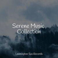 Music for Stress Relief - Yoga Music & Pro Sounds of Nature & Academia de Relaxamento e Meditação