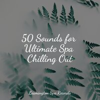 Windy Waves - Nature Sounds for Relaxation and Sleep & Meditation Music Experience & Gentle Rain Makers