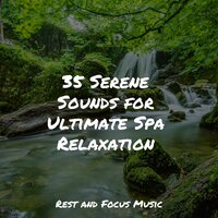 Calming Night Rhythm - Entspannungsmusik & Reiki Music & Música para Massagem Especialistas