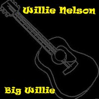 Seasons of My Heart - Willie Nelson