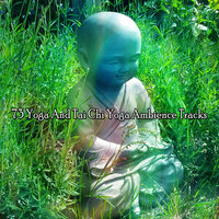 День медитации - Meditation Awareness