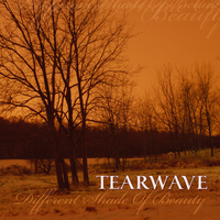 Comfort in Angels' Wings - Tearwave