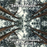 Serene Music to Calm Down Pt. 26 - Relaxing music & Yoga & Relaxation Music