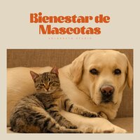 A Sea Fantasy Haunts Me - Música para Mascotas