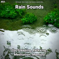 Rain Sounds - Rain Sounds & Nature Sounds & Rain Sounds by Angelika Whitta